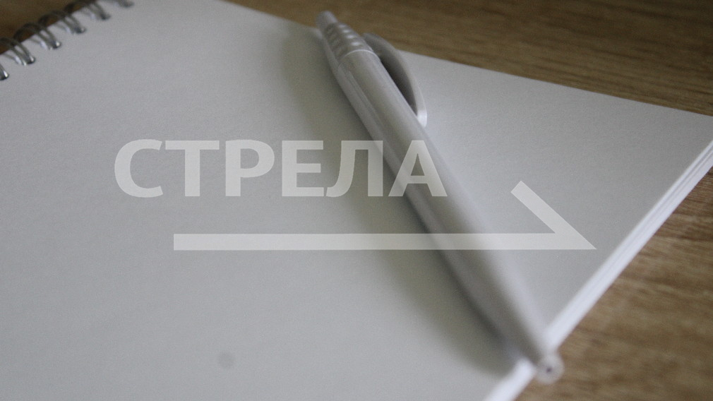 Брянская область лидирует по объемам поддержки участников СВО