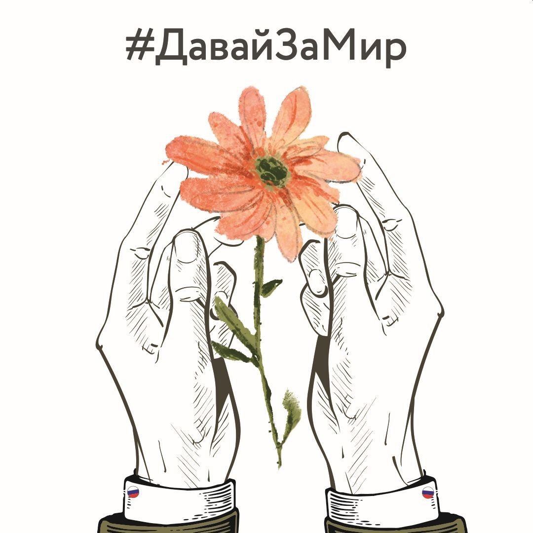 Проблемные вопросы участников СВО будут решены