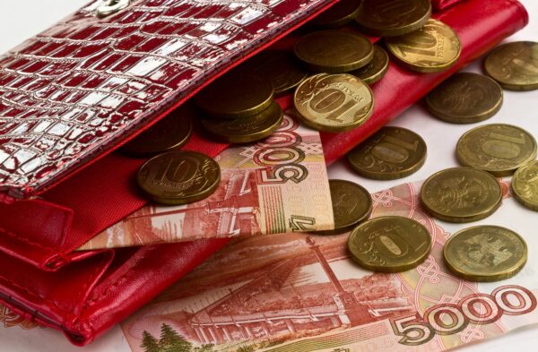 В Брянской области появилась новая мера поддержки для многодетных семей