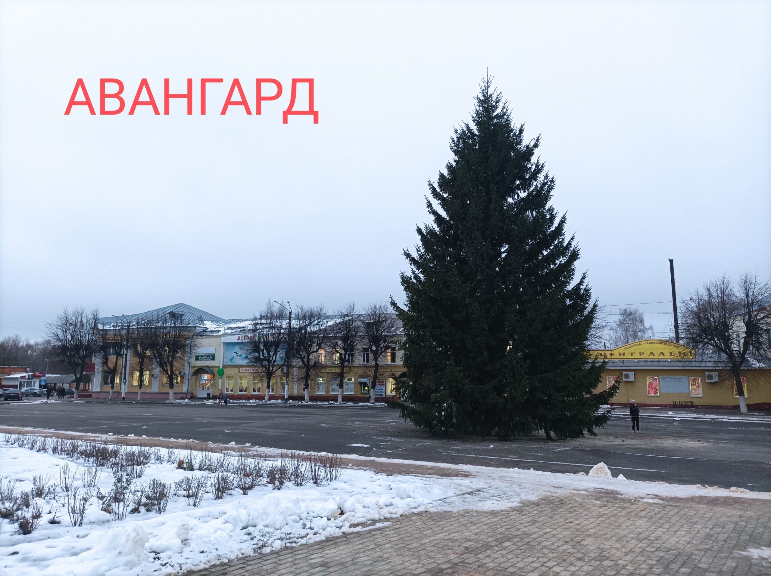 В Климово 11 декабря установили главный символ Нового года