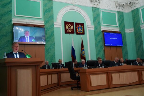 Депутаты Брянской областной Думы приняли законы в поддержку детей, семей с детьми и увеличение рождаемости