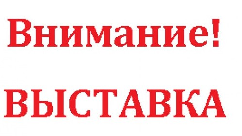 Выставку фигурок ангелов из личной коллекции Людмилы Свириденко открыли в Климовской центральной библиотеке