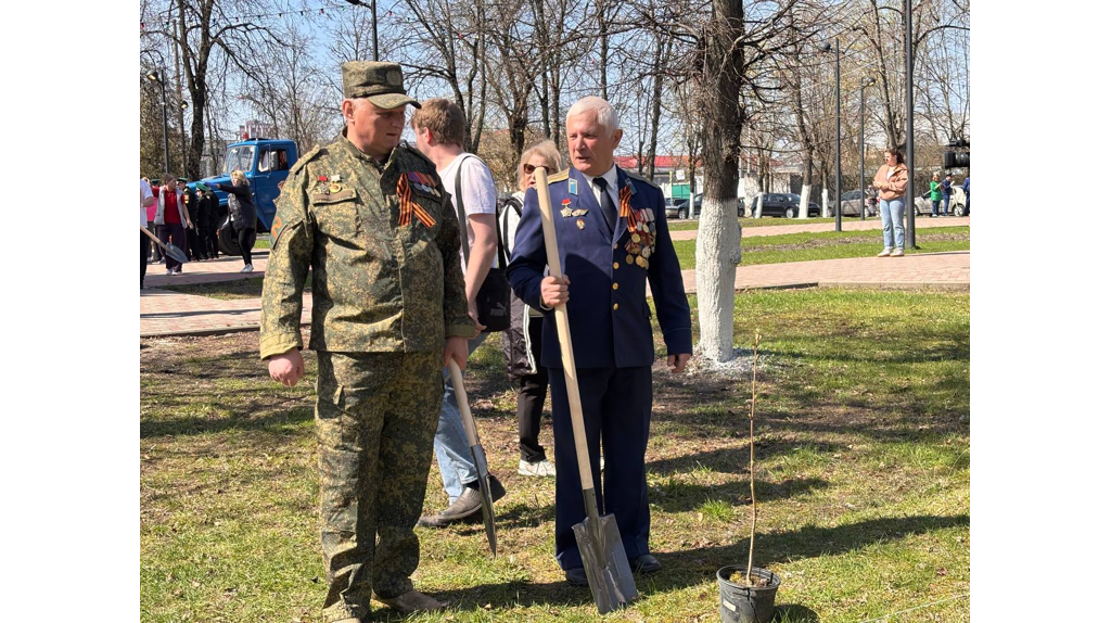 В брянском сквере высадили рябиновую аллею