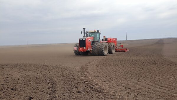 В Брянском районе сеют яровые и сажают картофель