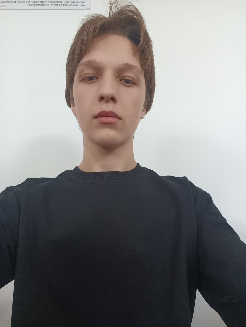 О грустном и о мечтах говорят выпускники климовских школ