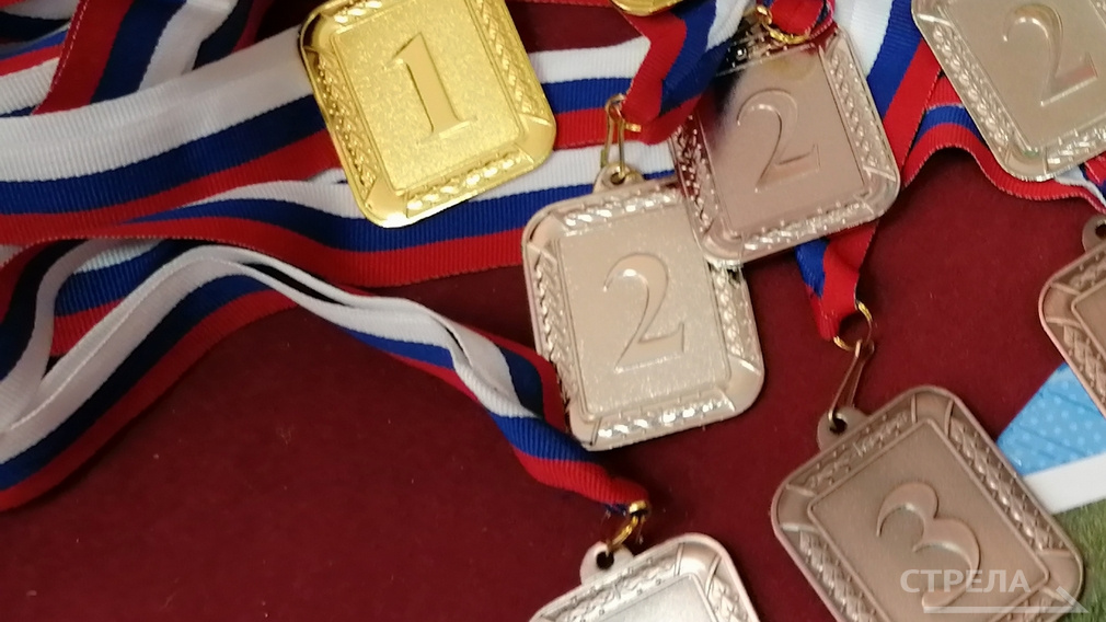 Почти 2000 брянских спортсменов одержали победу и стали призерами престижных соревнований
