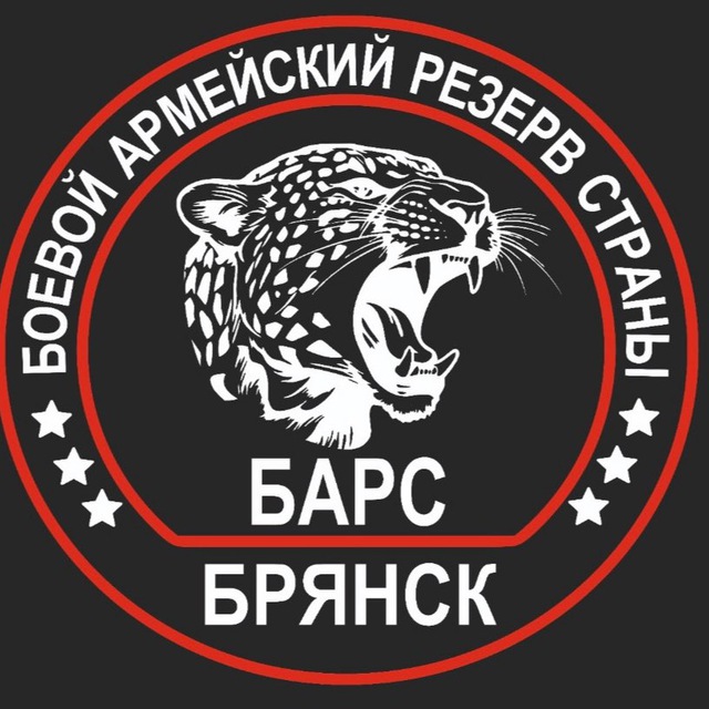 Командир «БАРС-Брянск» поблагодарил Эдгарда Запашного