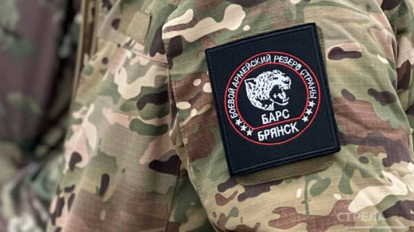 Отряд «БАРС-Брянск» насчитывает более двух тысяч человек