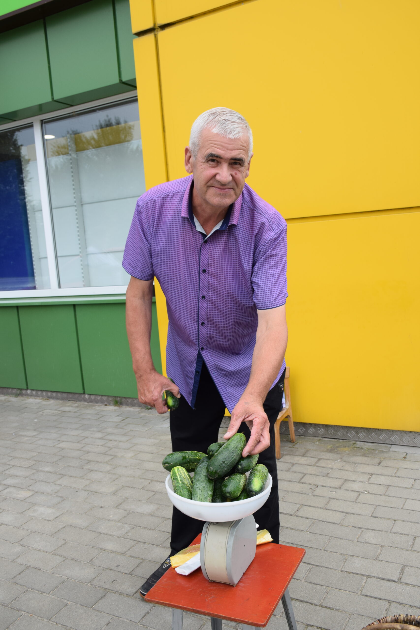 Жители села Чуровичи Климовского района собирают урожай огурцов