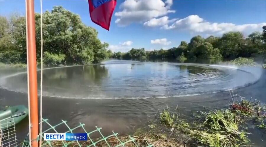 В Брянске состоялись Всероссийские соревнования по судомодельному спорту
