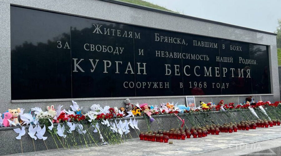 В Брянске прошла акция ко Дню памяти детей — жертв войны на Донбассе