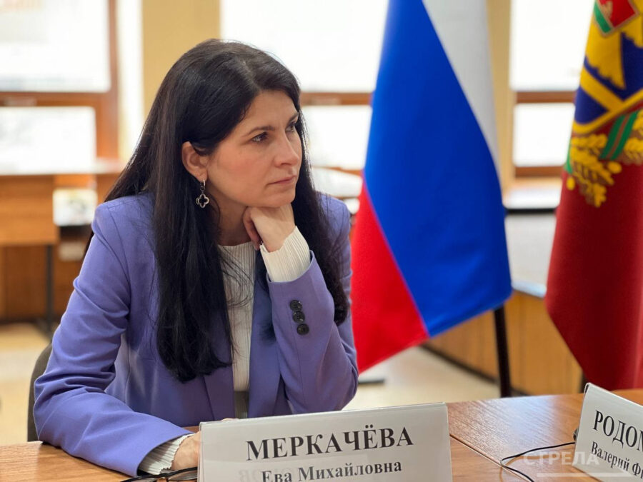Правозащитница Ева Меркачева участвовала в заседании общественного штаба по наблюдению за выборами
