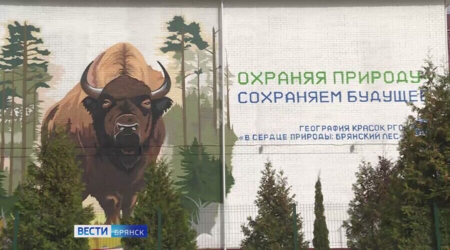 Мурал с заповедным зубром украсил здание школы №59 в Брянске