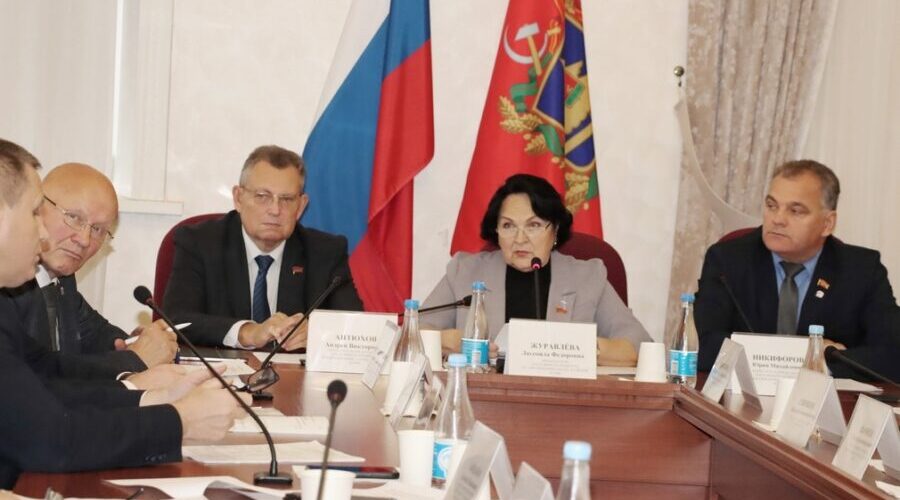 Брянские депутаты обсудили развитие образования и итоги летней оздоровительной кампании
