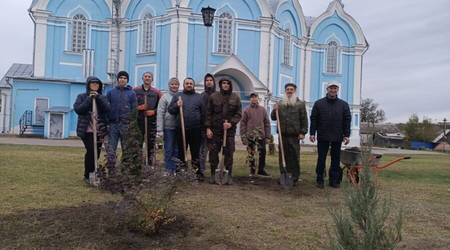 В Сачковичах у храма высадили  29 деревьев и кустарников