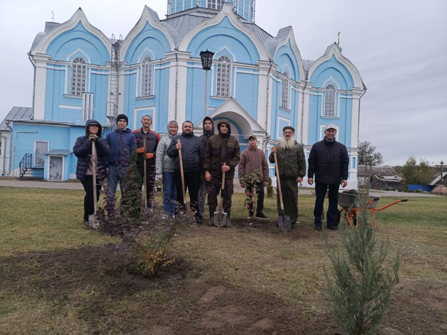 В Сачковичах у храма высадили  29 деревьев и кустарников