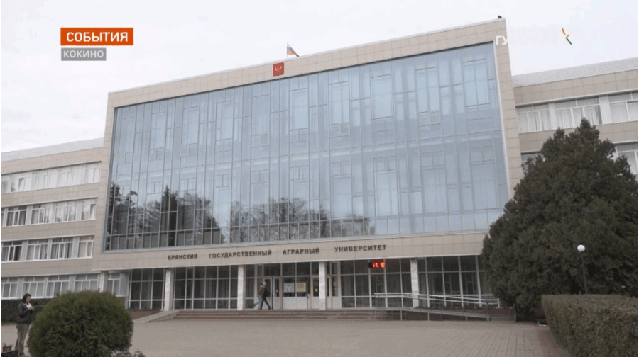 Брянских аграриев, добившихся успехов в производстве, наградят