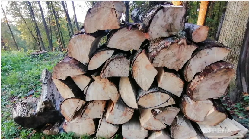 В Брянской областной Думе поддержали закон о выплате на топливо участникам СВО