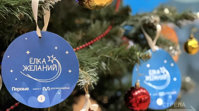 В Брянске на форуме Движения Первых дали старт акции «Ёлка желаний»