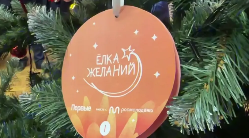 Губернатор Александр Богомаз принял участие в новогодней акции «Елка желаний»