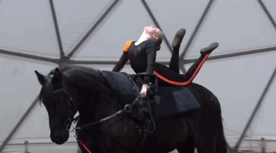 Первые соревнования по вольтижировке для юных спортсменов прошли в Брянске