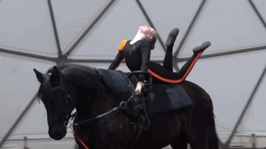 Первые соревнования по вольтижировке для юных спортсменов прошли в Брянске