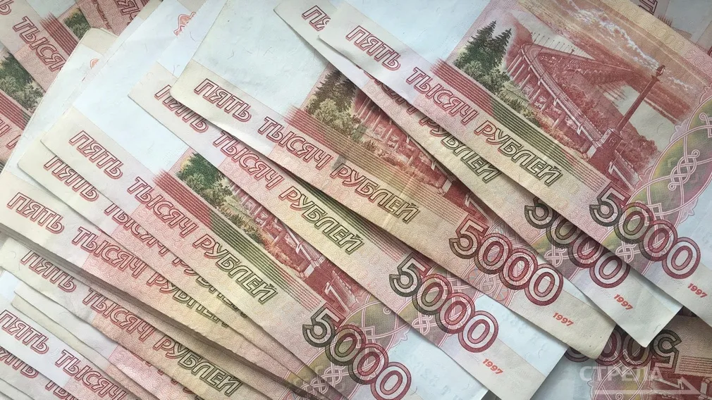 В брянском бюджете предусмотрены средства на поддержку участников СВО