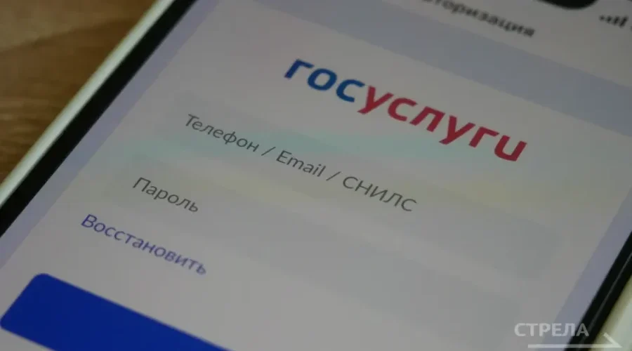 Сервис «Госуслуги.Дом» помогает брянцам в домашних делах