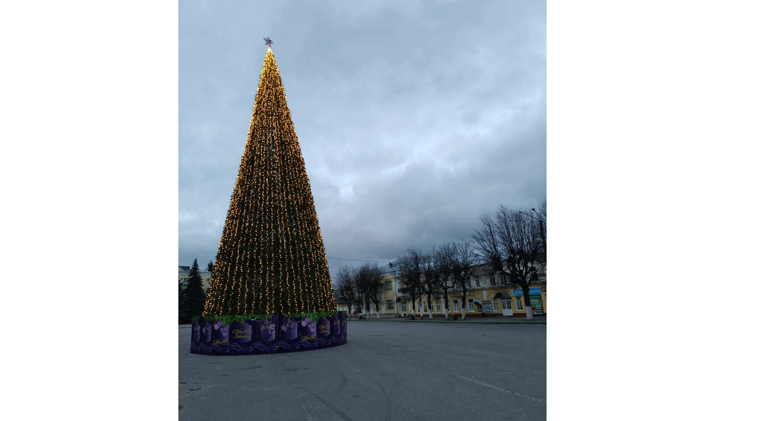 В Климово по инициативному бюджетированию приобретена ёлка