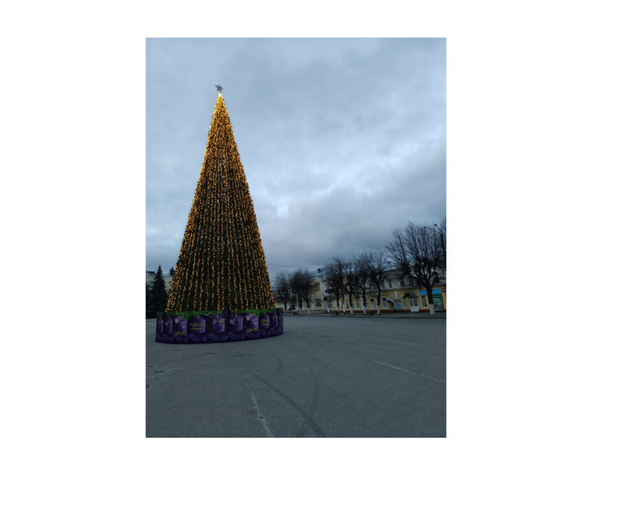 В Климово по инициативному бюджетированию приобретена ёлка