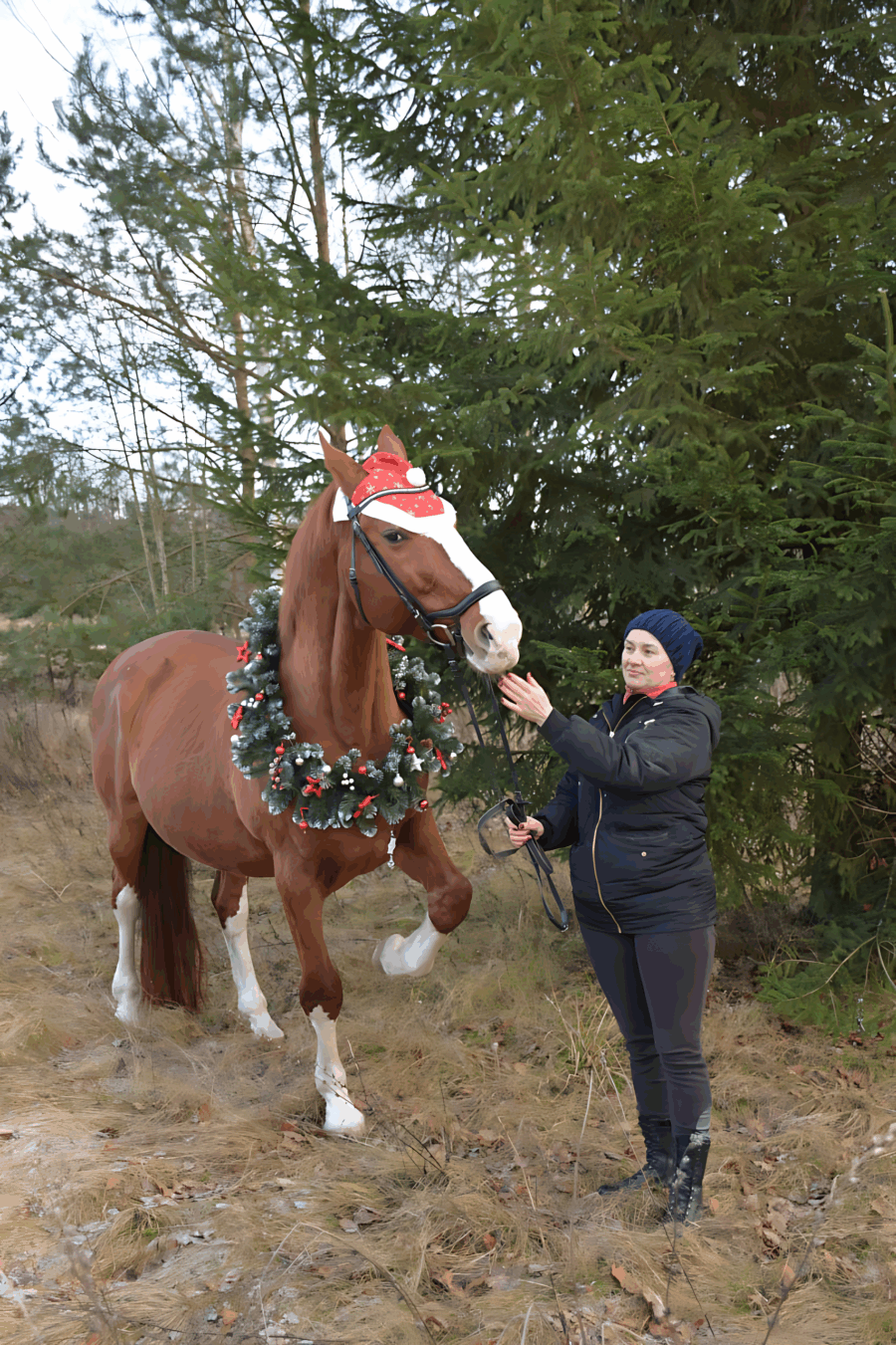 Под счастливый цокот копыт климовчане вступают в Новый год