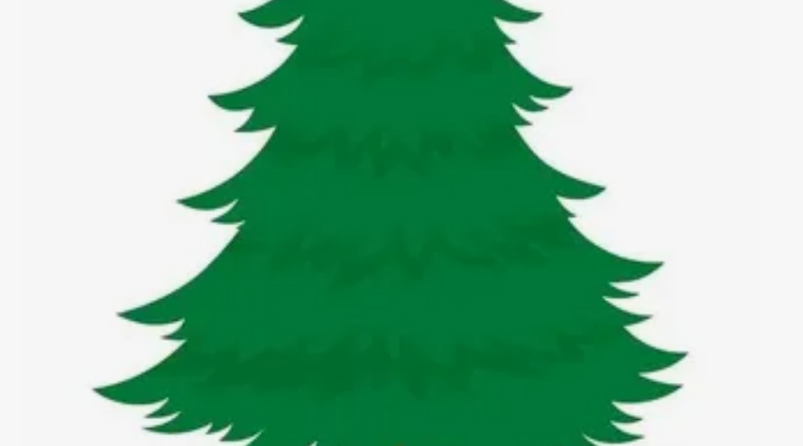 Участковый лесничий Климовского участкового лесничества напоминает: