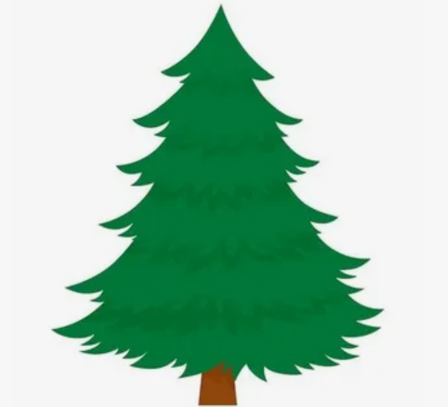 Участковый лесничий Климовского участкового лесничества напоминает: