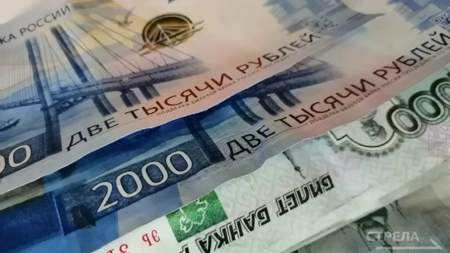 Брянские ветераны СВО могут получить социальный контракт до 350 тысяч рублей