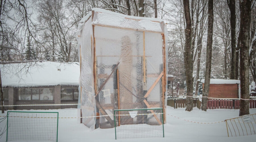В юбилейный год парк Толстого украсит новая скульптура князя Романа Брянского
