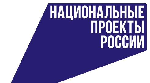 В Брянской области успешно реализуется национальный проект «Молодежь и дети»