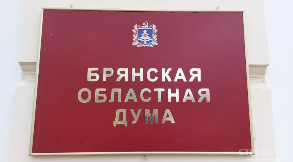 Брянская облдума поддержит многодетные семьи и бойцов СВО