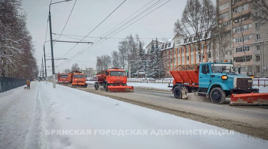Более 4 200 тонн снега вывезли с брянских улиц