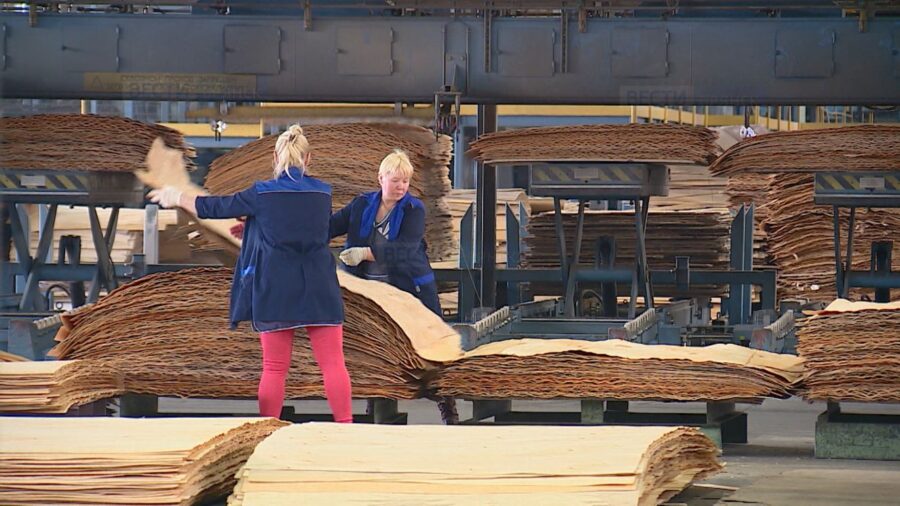 Три брянских компании изучат преимущества свободной экономической зоны