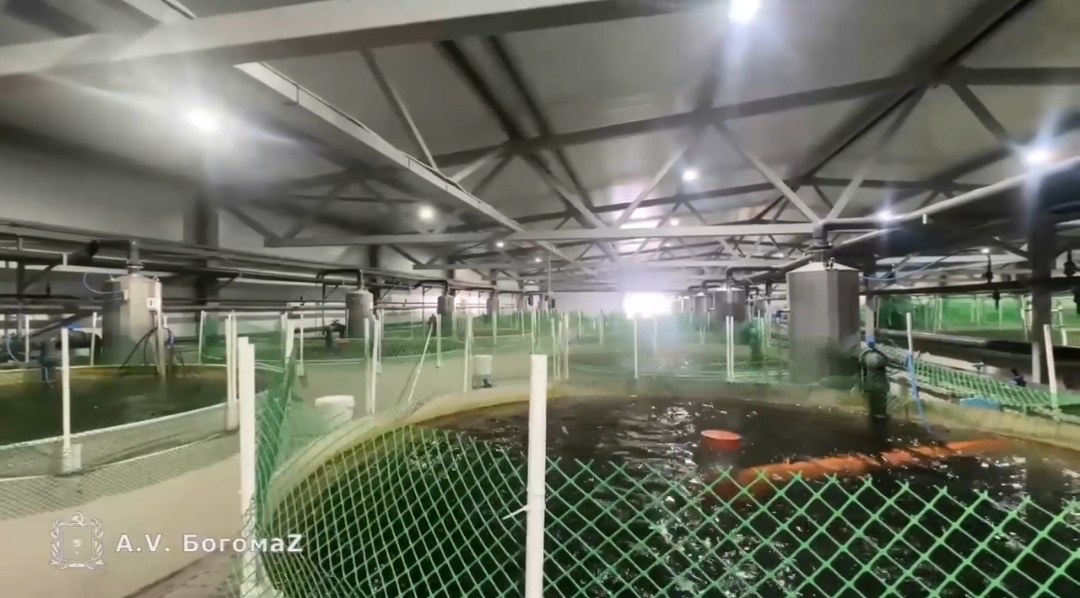 Рыбная ферма «Александрия» показывает хорошие результаты работы