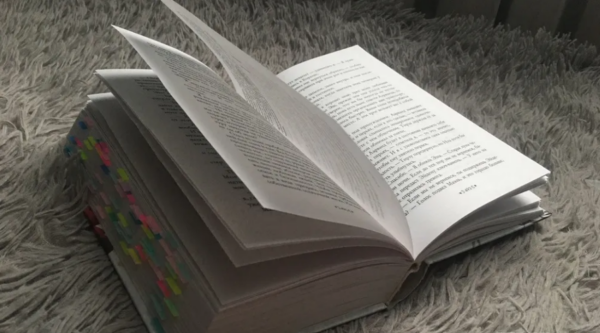 В Брянске стартовал литературный проект «ПРОгород»