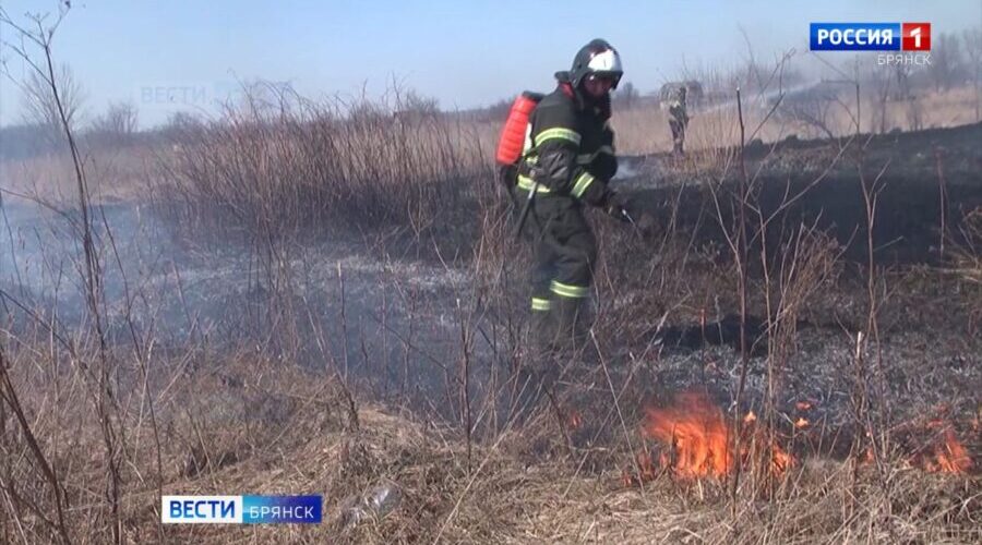 На Брянщине официально начал действовать пожароопасный сезон