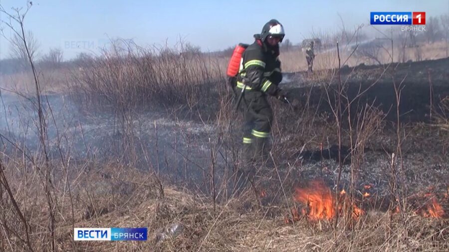 На Брянщине официально начал действовать пожароопасный сезон