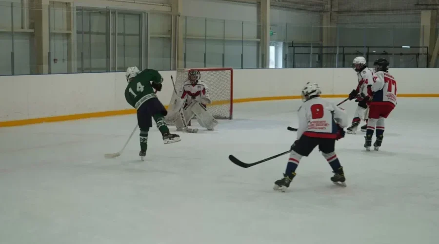 Подведены итоги Кубка Губернатора Брянской области по хоккею