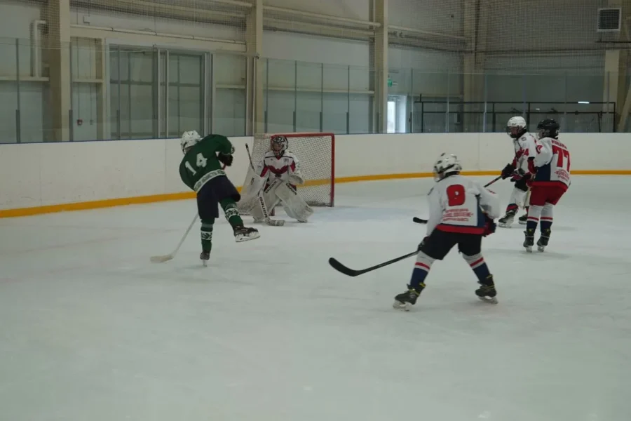 Подведены итоги Кубка Губернатора Брянской области по хоккею