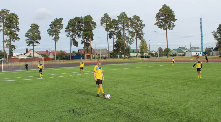 В  Жуковке Брянской области решили усовершенствовать стадион