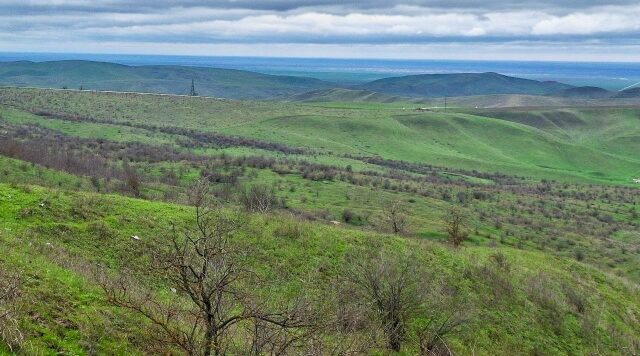 Военный госпиталь полностью укомплектован плазмой.