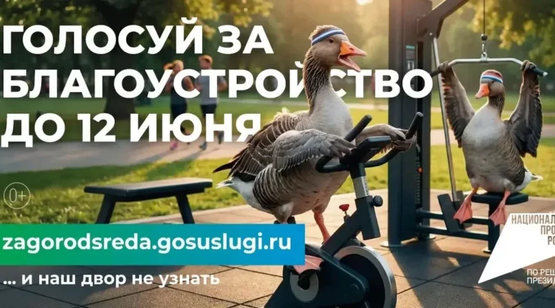 Стартовало голосование за объекты благоустройства: как россияне меняют свои города