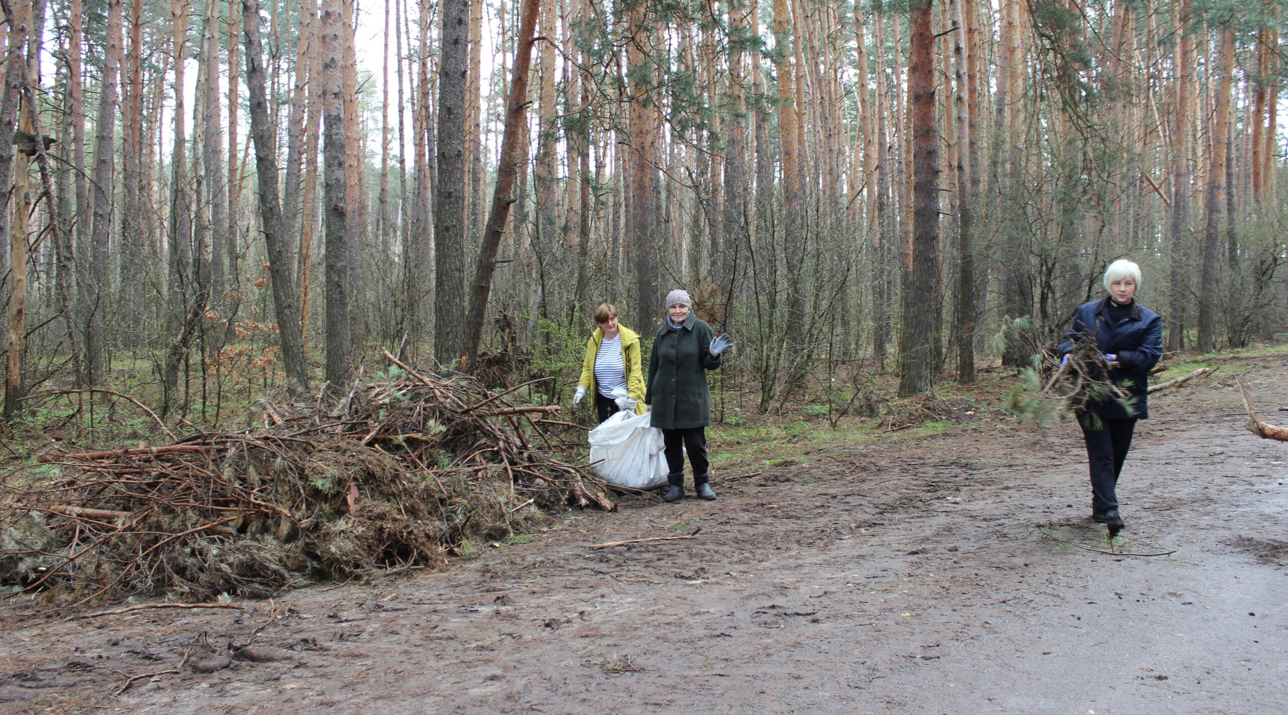 В поселке Климово продолжаются работы по благоустройству