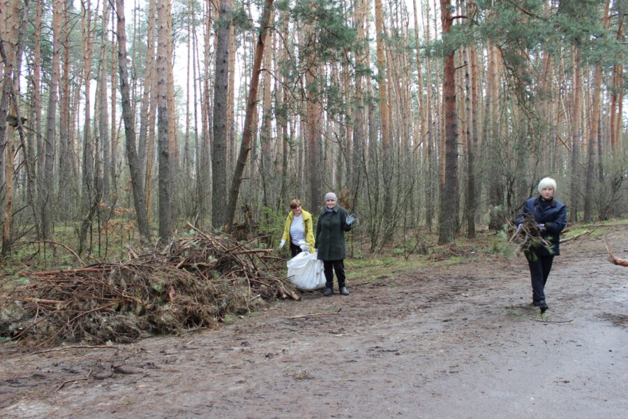 В поселке Климово продолжаются работы по благоустройству